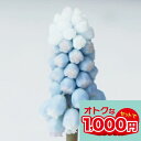 植えっぱなしOK! 球根 ムスカリ ペパーミント 選べる4球~8球セット【先行予約10月上旬~お届け メール便でお届け 一部セットは全国どこでも送料無料】空色 ライトブルー鉢植え 庭植え 花壇 寄せ植え ガーデニング ハッピーガーデン【2025BU】【mail】