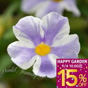 花苗 ツンベルギア フェアリームーン 1鉢 3.5号【お届け中】Thunbergia Fairy Moon 夏 苗物 夏の非耐寒性 花 苗 青い花 花壇 鉢植え トロピカル【0901】