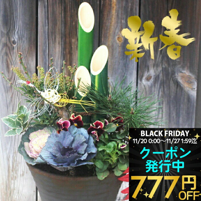 ＼クーポン発行中／ お正月飾り 新春 門松 玄関 寄せ植え 大きい梅の木入り 7号 水仙3球付【12月24日以降発送開始予定】迎春 謹賀新年 お多福南天 葉牡丹 正月飾り 玄関 門松 正月 花 お年賀 ギフト 贈り物 ナンテン 南天 松 竹 梅 ヤブコウジ 黒松 ビオラ Long Life 1150c7