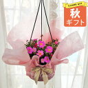 秋 ギフト 花 ゲブラナガトヨオリジナル! ポーチュラカ マジカルキューティー 6号 吊り鉢【即納 地域限定送料無料】Portulaca 鉢花 草花 夏 ポーチ...