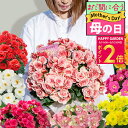 母の日 まだ間に合う お花 ギフト 花 プレゼント 大輪 薔薇咲き リーガースベゴニア 5号 選べる品種 籠付きラッピング 鉢植え 鉢花【即納 or 先行予約 ...