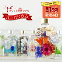 即納\最短発送/敬老の日 遅れてごめんね ギフト 花 プレゼント ウィスキーボトル ハーバリウム 6種から選べる【11時AM迄の注文で当日発送 地域限定送料無料...