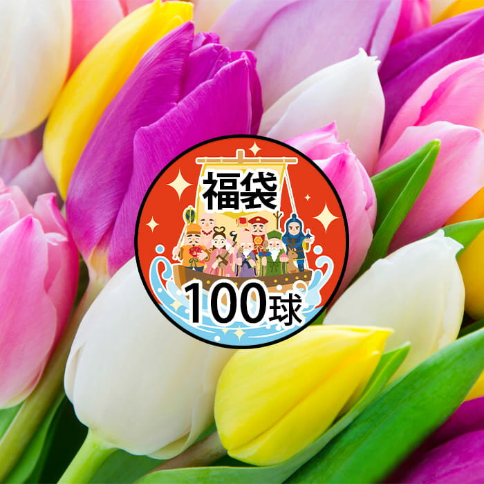 球根 福袋 100球セット ギフトラッピング付き【お届け中 地域限定送料無料】チューリップ クロッカス イフェイオン スパラキシス ムスカリ ガーデン ガーデニング 庭植 花壇 プランター 寄せ植え 鉢植え 水耕栽培 プレゼント 誕生日 お祝い クリスマス ハッピーガーデン