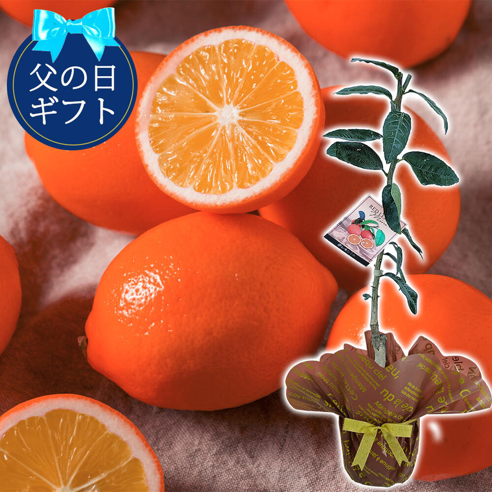 皮は赤　果肉はオレンジ　珍しいレッドレモン