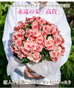 ＼楽天1位／ まだ間に合う 母の日 ギフト 花 プレゼント花鉢 大輪 薔薇咲き リーガースベゴニア 5号 籠付きラッピング 鉢植え【お届け中 地域限定送料無料 同梱不可】60代 70代 80代 ベコニア 花鉢 ボリアス 誕生日 女性 母 義母 お祝い ハッピーガーデン 2024mom gift