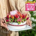 ハッピーガーデン 花の鉢植え ＼母の日早割 クーポン発行中／ 母の日 鉢花 プレゼント 花 ギフト セロシアのフラワーケーキ 鉢花【母の日期間5月7日～5月12日 地域限定送料無料】鉢植え お花 花鉢 鉢 生花 母の日 ギフト 同梱不可 2024mom