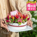 フラワーアレンジメント(フラワーケーキ)のギフト ＼母の日／ 鉢花 プレゼント 花 ギフト セロシアのフラワーケーキ 鉢花【母の日期間5月7日～5月12日 地域限定送料無料】鉢植え お花 花鉢 鉢 生花 母の日 ギフト 同梱不可 2024mom