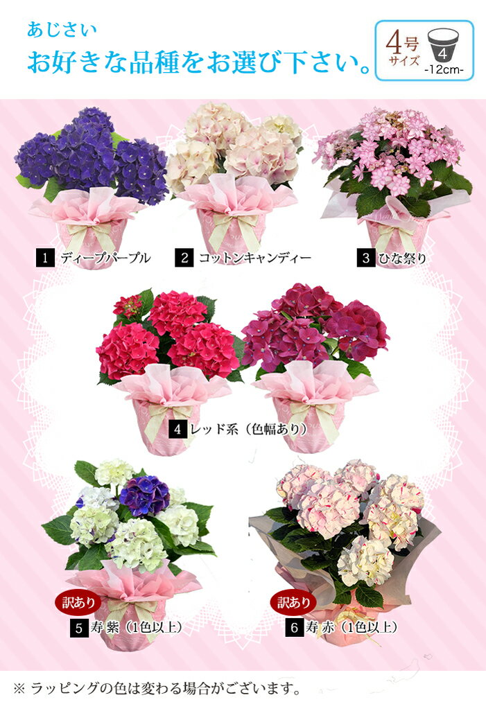 ����� ���� ���� �ץ쥼��� �� ���ե� �������� ���٤�7�� 4�� ȭ�����ڤ��Ϥ��� ����̵�� Ʊ���Բġۻ��۲� ���� 60�� 70�� 80�� �������� ���� ���� �� ���� ��ȭ �͵� ��ȭ���� �ϥåԡ������ǥ� mom2025
