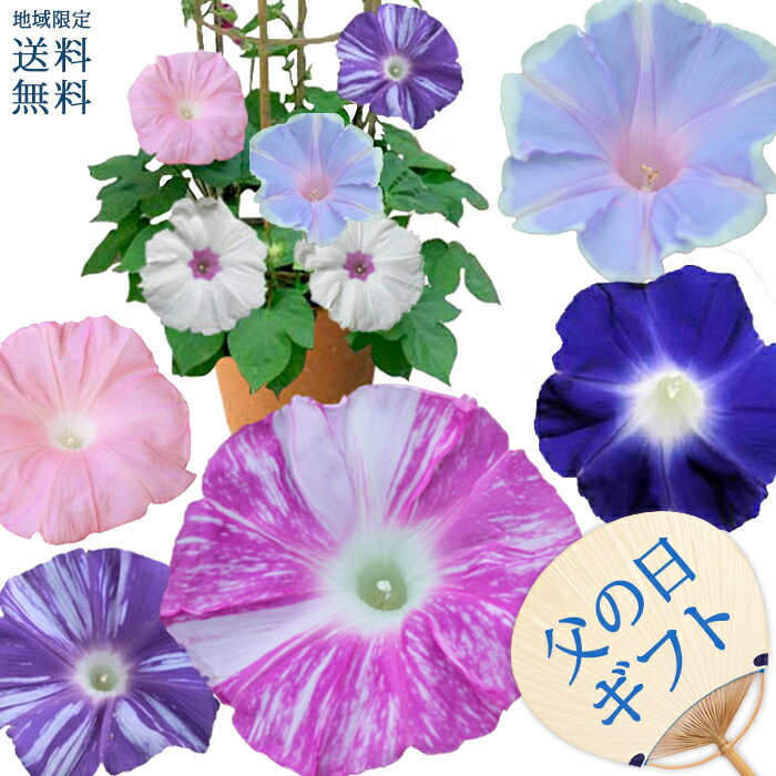楽天市場】朝顔（ビーズクラフト道具｜道具・キット）：手芸