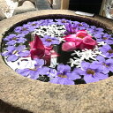 夏の花 花苗 ツンベルギア ベンガルヤ ハズカズラ 斑入り葉 3号 Thunbergia arandiflora トロピカル グリーンカーテン 青花 緑のカーテ...