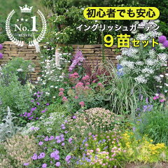 https://thumbnail.image.rakuten.co.jp/@0_mall/wfgarden/cabinet/hananae/englishgarden/9nae/ing9top1.jpg