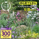 \300円クーポン発行中/ 楽天1位 花苗 花 春 宿根草 イングリッシュガーデン 9鉢 苗 セット ガーデニング 花壇用【お届け中 送料無料】花の苗 一年草 ...