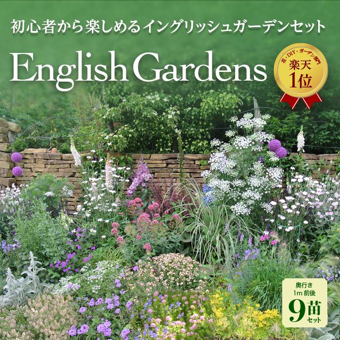 ＼プレゼント付き／楽天1位 冬 イングリッシュガーデン 花苗 9鉢セット 幅1mX1m 花壇用【お届け中 送料無料】花の苗 一年草 宿根草 多年草 花壇 庭 初級 ガーデニング 苗物 ナチュラルガーデン 英国庭園風 ハッピーガーデン 花苗セット