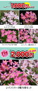 wfgarden:10004003のサンプル画像3