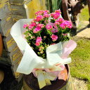 秋 ギフト 花 プレゼントカランコエ 花色おまかせ 5号【お届け中 地域限定 送料無料】Kalanchoe 誕生日 お花 鉢花 祖母 母 おばあちゃん 祖父 おじいちゃん お祝い メッセージカード 2021KR