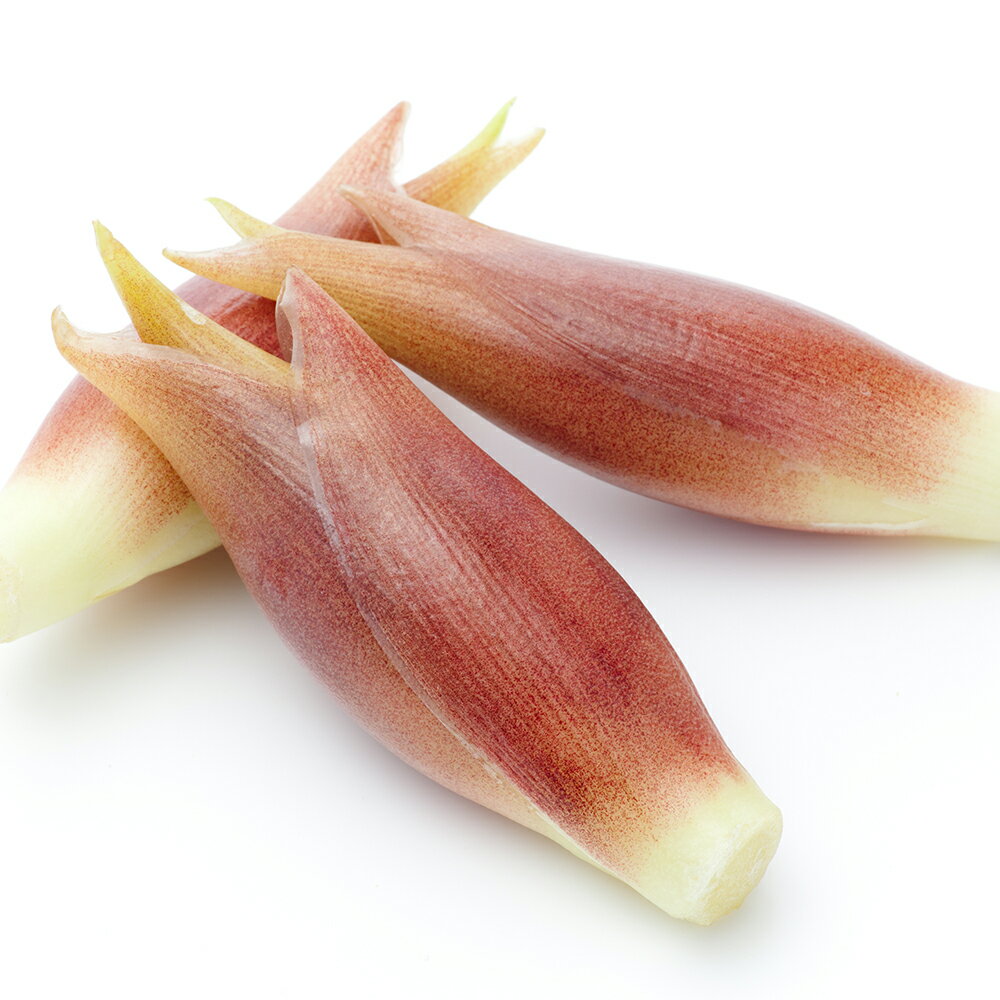 ミョウガの花の特徴まとめ 香りや花言葉の意味 薬味としての美味しい食べ方も紹介 暮らし の