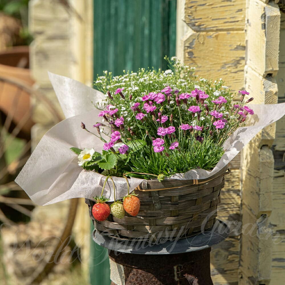 花 ギフト 寄せ鉢 花 季節のおまかせ花 バスケット 寄せ鉢