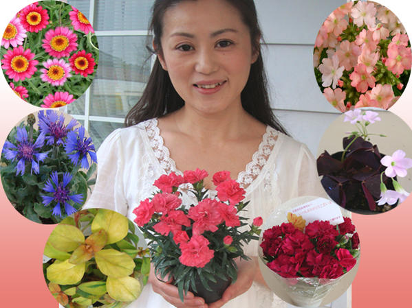 苗 店長おまかせ母の日スペシャル♪付き花苗セット 送料無料 ギフト 母の日 お母さん 母の日限定フラ ...