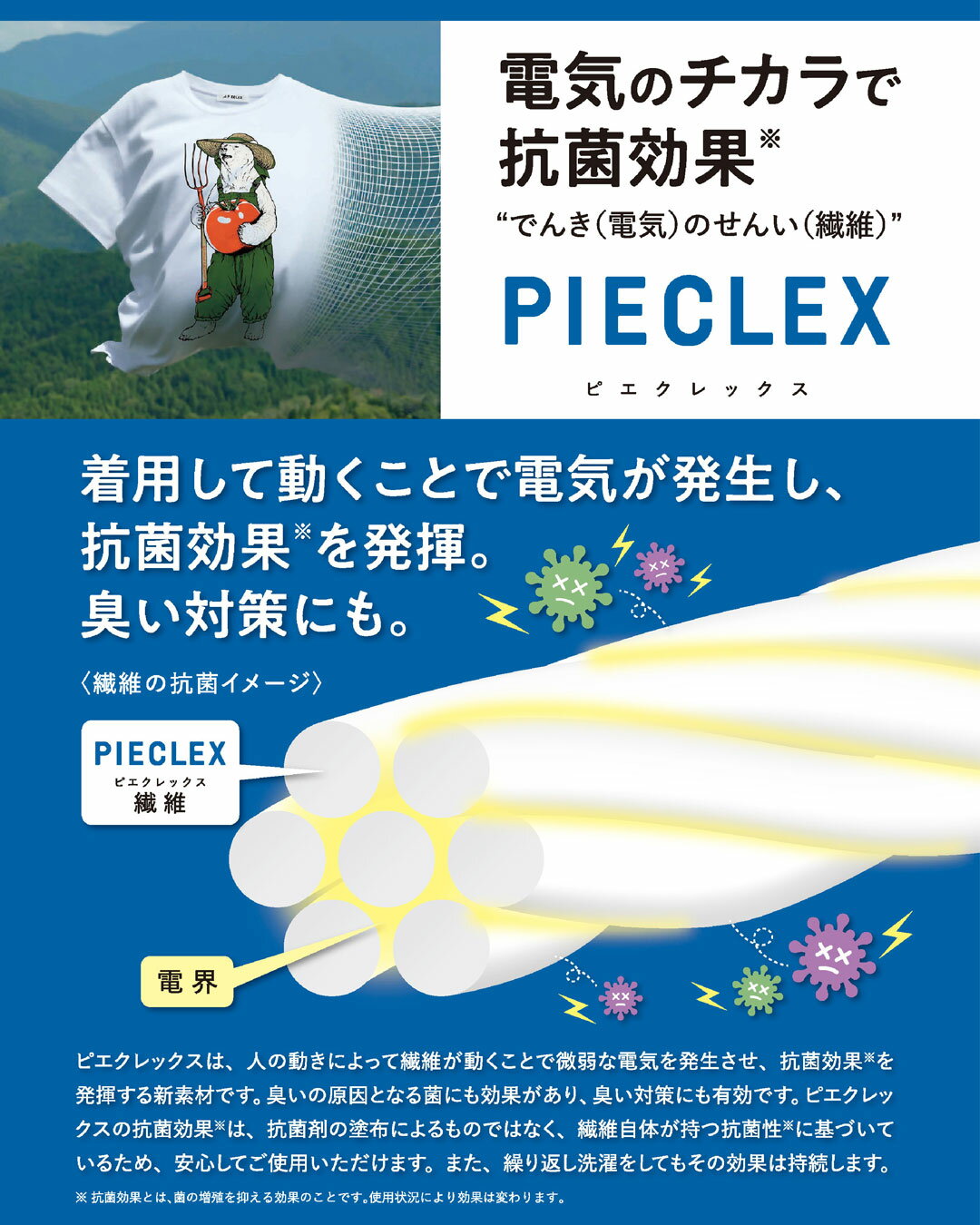 サンプル画像3