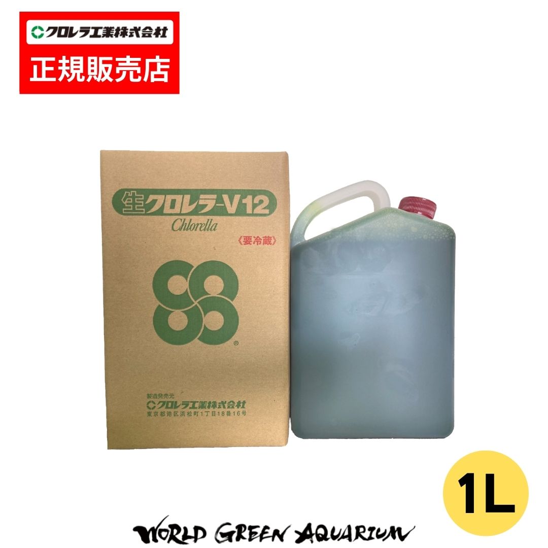 ※クロレラ工業工場直送品(クール便) 他の商品と同梱は出来ませんのでご了承下さい。 【商品の説明】 生クロレラ-V12（10L） 【生クロレラ-V12 の特長】 (1) ワムシの成長に必須のビタミン B12を生体濃縮しています。安定したワムシ培養ができます。 (2) 20L パックはナンノクロロプシス 55t（2,000〜2,500 万cell）に相当します。少量の給餌で済み、 ワムシ槽の水温を変化させません。作業も簡単に済みます。 (3) 四季を通じて安定供給ができます。ナンノクロロプシスの培養設備が不要です。 (4) 5℃で約30 日間の長期保存が可能です。 (5) 稚魚槽の環境水としても使用できます。（30ml／t程度添加） (6) 生クロレラ-V12 を使用することでワムシ高密度培養（4,000 個体／ml 以上）が可能です。 【取り扱い上の注意】 常時5℃以下で冷蔵保存して下さい。 製造日より 30 日以内にご使用下さい。 使用時にはよく振ってお使い下さい。 ※ご不明な点は公式LINEよりお問い合わせ下さい。