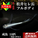 【送料無料】【入門用成魚10匹】メダカ 入門【松井ヒレ長フルボディ 入門用成魚】めだか 生体 観賞魚 ゾウリムシ ミジンコ PSB と同梱可能 生クロレラ同梱不可