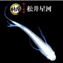 メダカ【松井星河】めだか 生体 まついせいが ゾウリムシ ミジンコ PSB と同梱可能 生クロレラ同梱不可