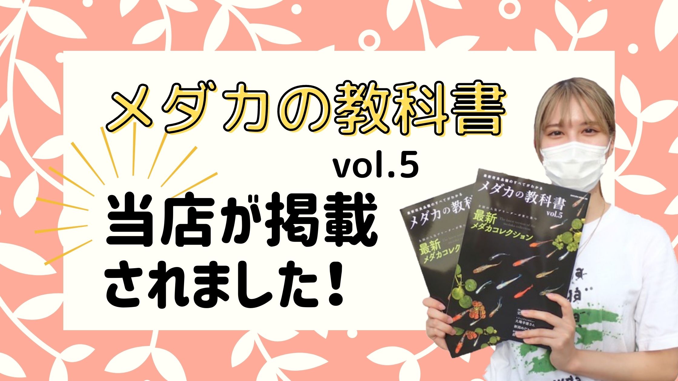 メダカ 卵【王翔華 有精卵5個】おうしょうか おうか ヒレ長 ゾウリムシ ミジンコ PSB と同梱可能 生クロレラ同梱不可 3