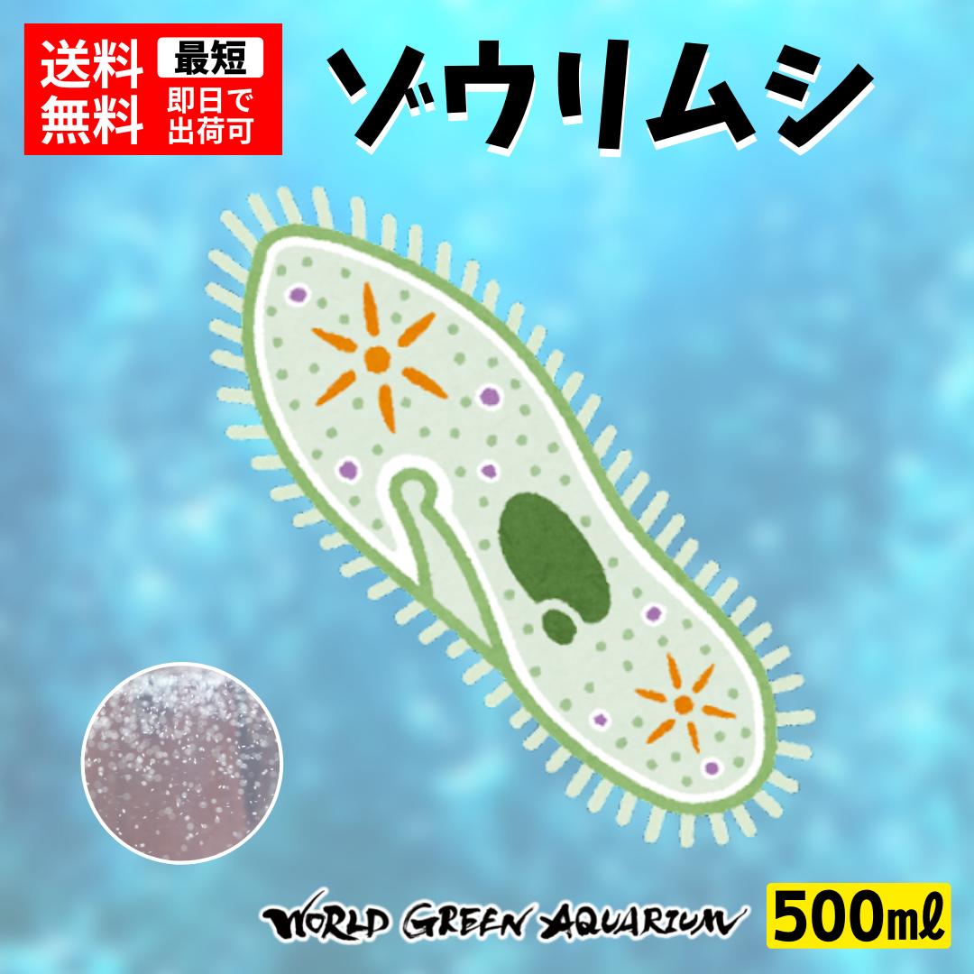 【送料無料】メダカ 餌【ゾウリムシ＋ゾウリムシの餌】めだか ミジンコ PSB と同梱包可能 生クロレラ同梱不可 1