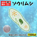 楽天world　green　aquarium【送料無料】メダカ 餌【ゾウリムシ＋ゾウリムシの餌】お得な大容量サイズ めだか ミジンコ PSB と同梱包可能 生クロレラ同梱不可