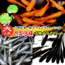 【送料無料】メダカ【人気3種類10匹 小野紅帝 オロチ 幹之フルボディ】めだか 生体 ゾウリムシ ミジンコ PSB と同梱可能 生クロレラ同梱不可