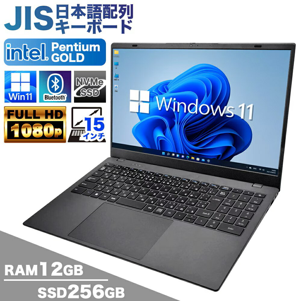 PASOUL NC15J マットグレイ 15.6 Win11 Pentium GOLD 6500Y SSD256GB メモリ12GB カメラ フルHD Type-C 日本語キー 新品