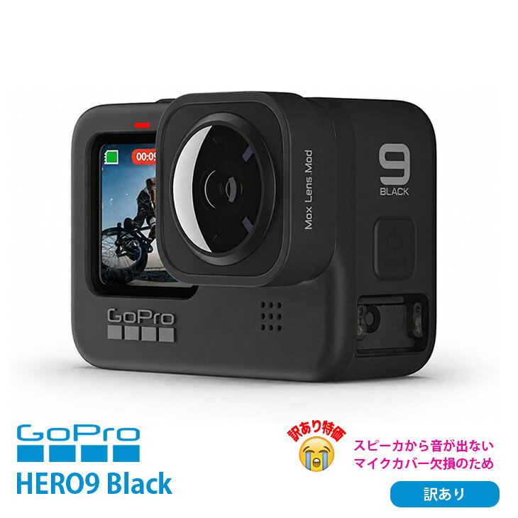 楽天市場】goprohero9blackの通販