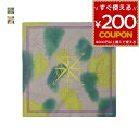NANGA ナンガ バンダナ おしゃれ タイダイ染め キャンプ アウトドア アクセント JOURNEY PATTERN BANDANNA ジャーニーパターン ギ...