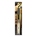 闘牛 追入のみ のみ ノミ 追入ノミ 21mm 21ミリ 鋼付 DIY 木材加工 大工 棟梁 ビッグマン BIGMAN DIY工具 大工道具 496230813...