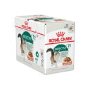 ロイヤルカナン FHN -WET インスティンクティブ+7 猫用 85g×12個入り