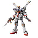 BANDAI SPIRITS(バンダイ スピリッツ) RG 機動戦士クロスボーン・ガンダム クロスボーン・ガンダムX1 1/144スケール 色分け済みプラ