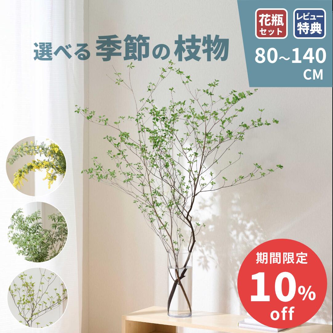 楽天市場】ドウダンツツジ（花・観葉植物｜花・ガーデン・DIY）の通販