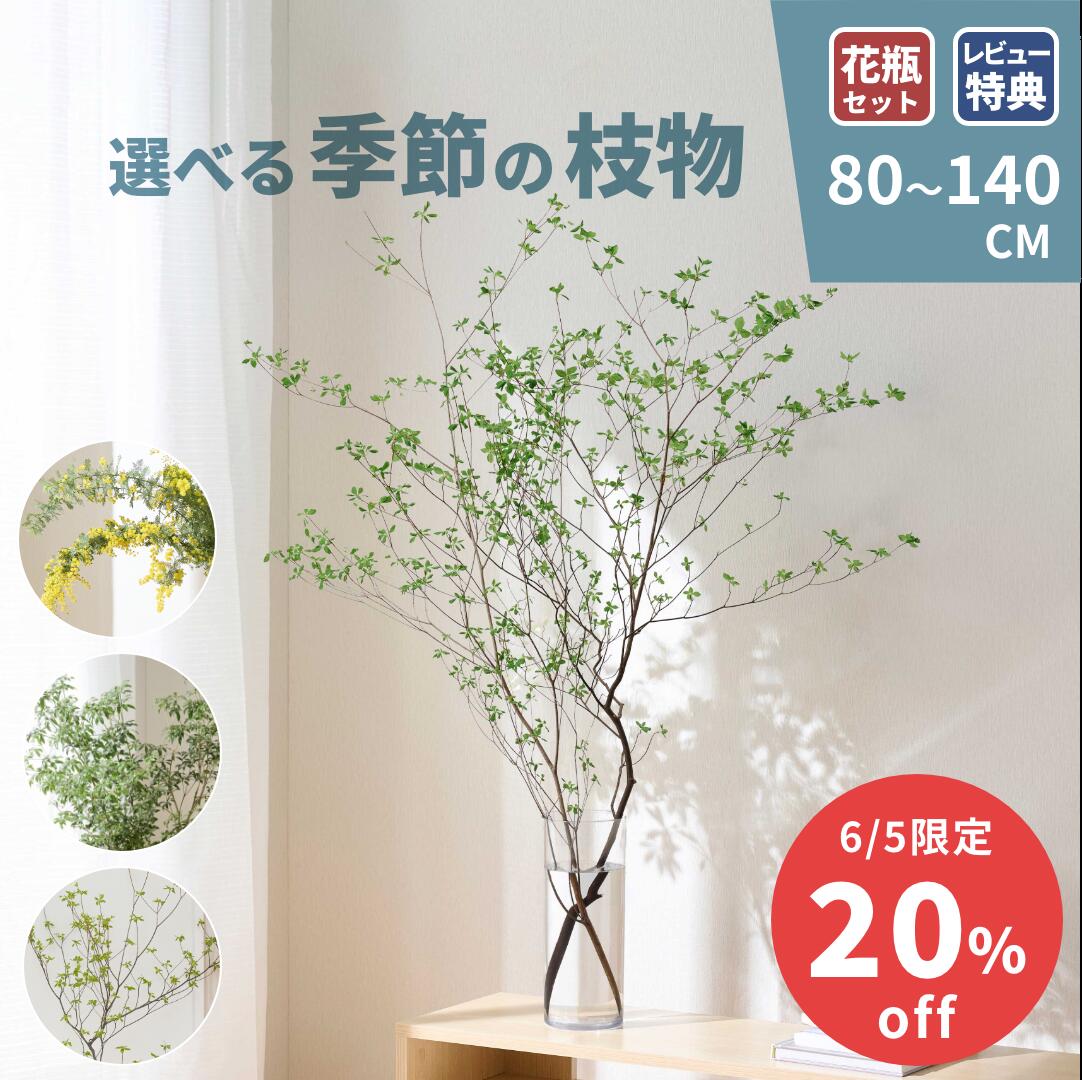 枝もの 季節の枝物 ドウダンツツジ 枝 切り枝 フラワーベース アセビ 馬酔木 啓翁桜 けいおう桜 ミモザ ユーカリ 生花