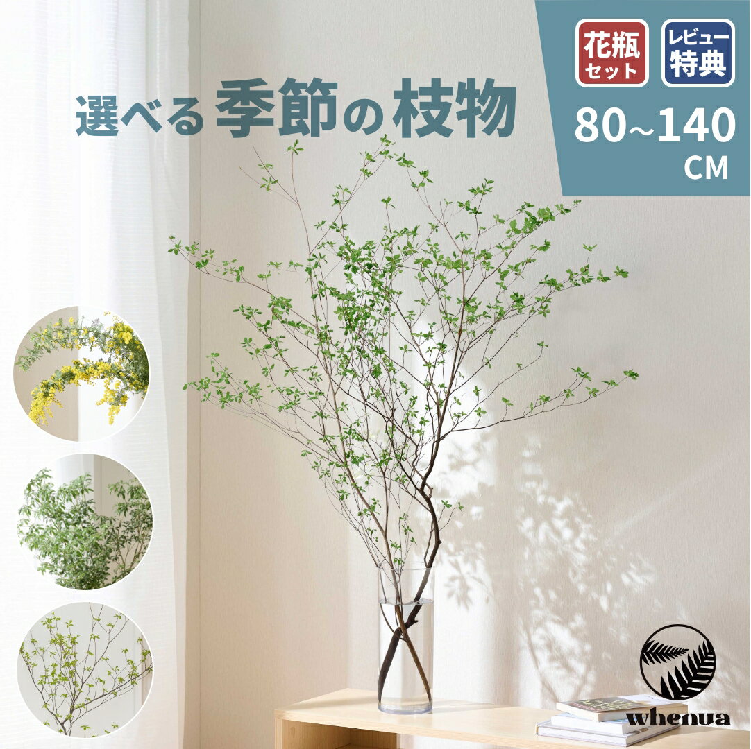 【最大25%offセール】枝もの 季節の枝物 ドウダンツツジ 枝 切り枝 フラワーベース アセビ 馬酔木 啓翁桜 けいおう桜 ミモザ ユーカリ 生花