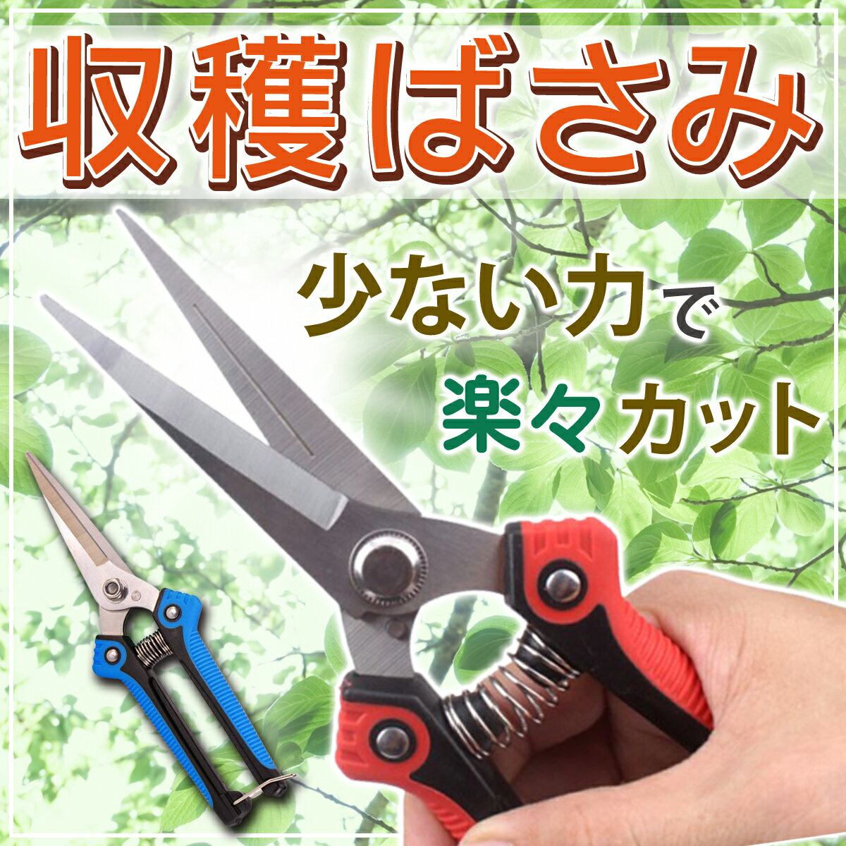 収穫 剪定 ばさみ はさみ 鋏 植木 庭 花 ガーデン 摘果 造園 芽切り 盆栽 枝 収穫 果物 野菜 園芸 家庭菜園 ガーデニング