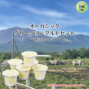 ハロウィン お歳暮 【 オーガニック グリーク ヨーグルト ×6個 セット 】 送料無料 国産 グリーク ヨーグルト プレゼント ヨーグルト ギフト ヨーグルト 贈り物 ヨーグルト ヨーグルト 種菌 詰め合わせ 飲むヨーグルト ホワイトファーメント
