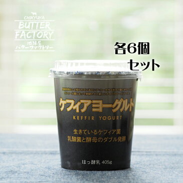 【スーパーSALE限定5%OFF】ケフィアヨーグルト6個セット 種菌 乳酸菌と酵母ではっ酵させた共生はっ酵の食品 国産 お取り寄せ お中元