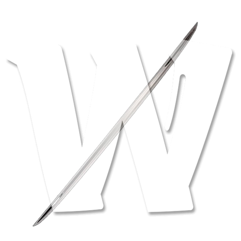 トヨタ アルファード ヴェルファイア 30系 前期 後期 リアゲートトリム バックドアアンダー ガーニッシュ 傷付き防止 ステンレス 鏡面 外装 パーツ アクセサリー ドレスアップ