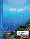 【4K撮影 ブルーレイ・業務用ヒーリングビデオ】 Schools of fish －The sea connects you to the world.－ 約26分 リラックス音楽と動画 店舗BGMやイベントに 著作権フリー音楽