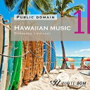 【店内音楽CD】Hawaiian music 1 - Papalina Lahilahi - 22曲 約68分 ハッピーな音楽 店舗BGMやイベントに 著作権フリー音楽