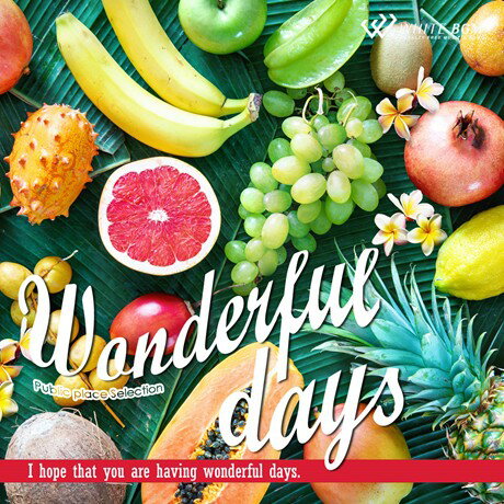 【店内音楽CD】Wonderful days（15曲 約51分）♪南国のビーチを思わせるトロピカルでハッピーな音楽 ♪リラックス音楽 店舗BGMやイベントに 著作権フリー音楽