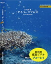 【ブルーレイ・業務用ヒーリングビデオ】水中映像・ダイバーバブルズ・ハイビジョン 40分 リラックス音楽 店舗BGMやイベントに 著作権フリー音楽