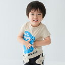 【Tシャツ】チークルーム 2025春夏 #450151 くじらTシャツ 半袖 綿100% 夏物 男の子 女の子 かわいい プレゼント ギフト ベビー キッズ 幼児 子供服 80 90 100cm