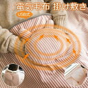 電気毛布 掛け敷き 電気ブランケット ひざ掛け ブランケット 電熱 カーペット 着る毛布 ポケット加熱 大判 電気 毛布 ヒーター内蔵 USB給電式 布団 腰電気 冬物 暖房器具 防寒対策 テント泊用 自宅 家庭用 オフィス用 車用 在宅勤務 デスクワーク 洗える 厚手 寝具