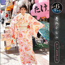 着物 浴衣 セット 着物 5セット 初心者 フルセット 袷 洗える着物 セット 一式 着物セット 送料無料 レトロ お稽古 着付け ビギナー 入門 レディース 着付け教室 着物デビュー 初心者 あわせ お出かけ 可愛い 綺麗 七夕
